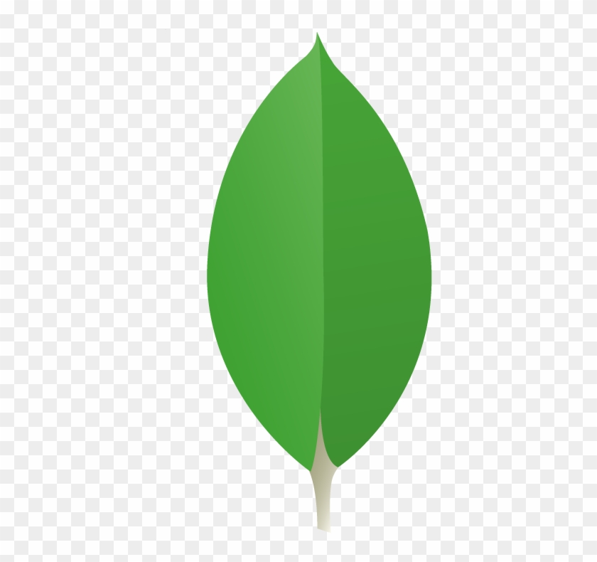 MongoDB logo